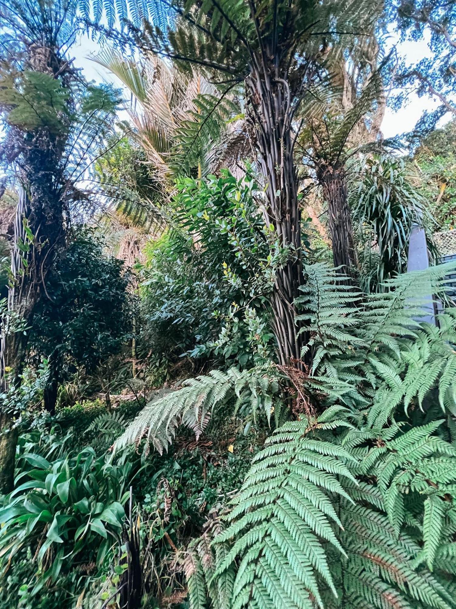 Evergreen Escape Hokitika Luaran gambar